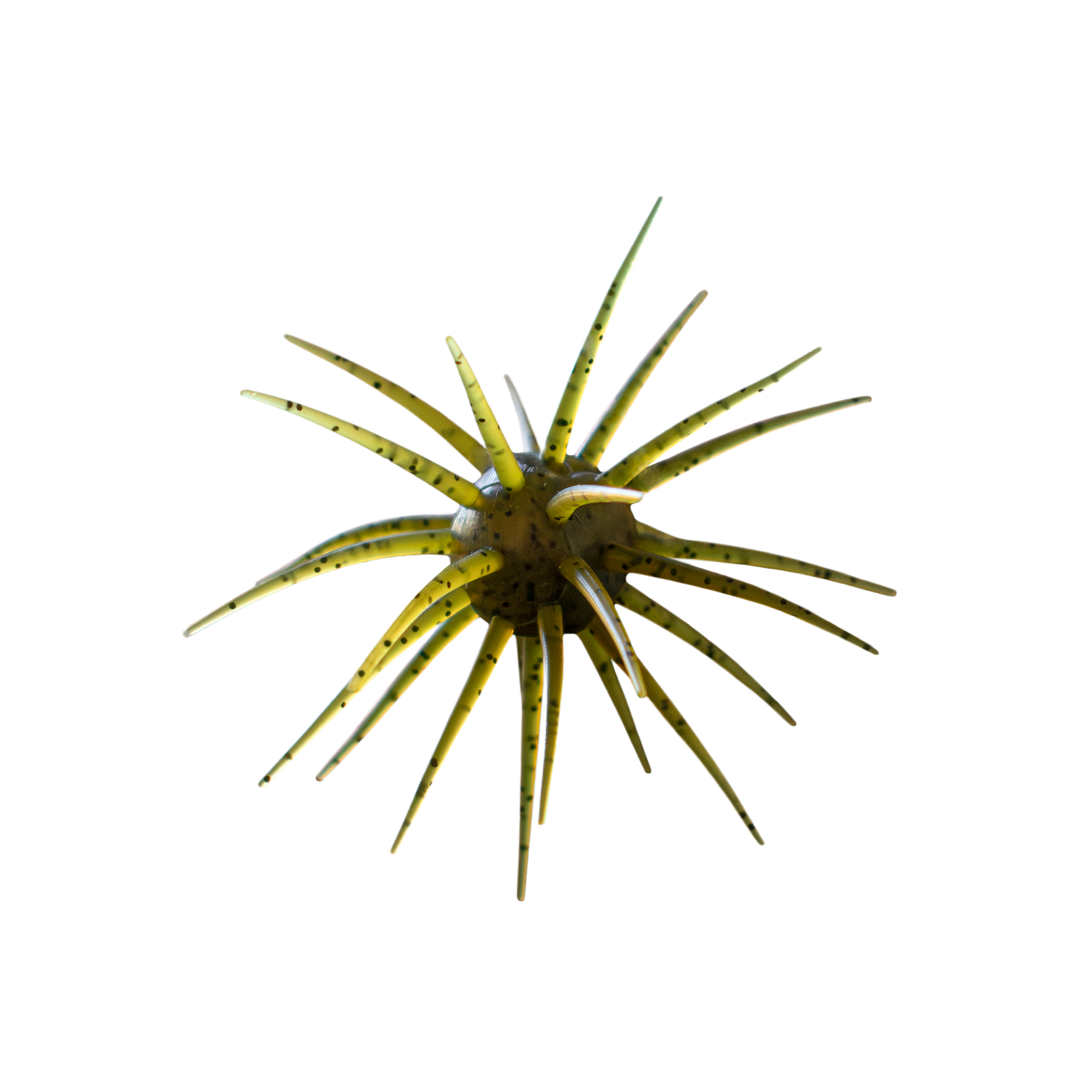 Mutant 17mm - COMING SOON